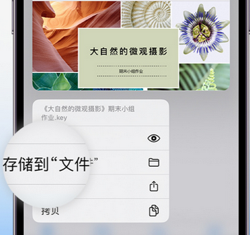 南江apple维修中心分享iPhone文件应用中存储和找到下载文件