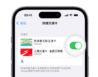 南江apple维修点分享iPhone上更换Apple Pay快捷交通卡手绘卡面 