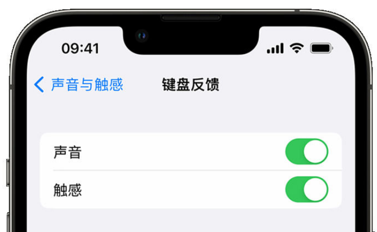 南江苹果手机维修分享iPhone 14触感键盘使用方法 