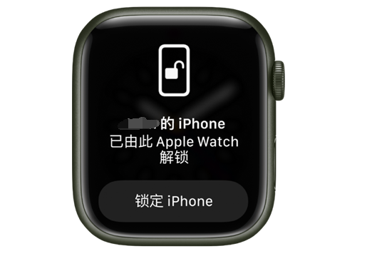 南江苹果手机维修分享用 AppleWatch 解锁配备面容 ID 的 iPhone方法 