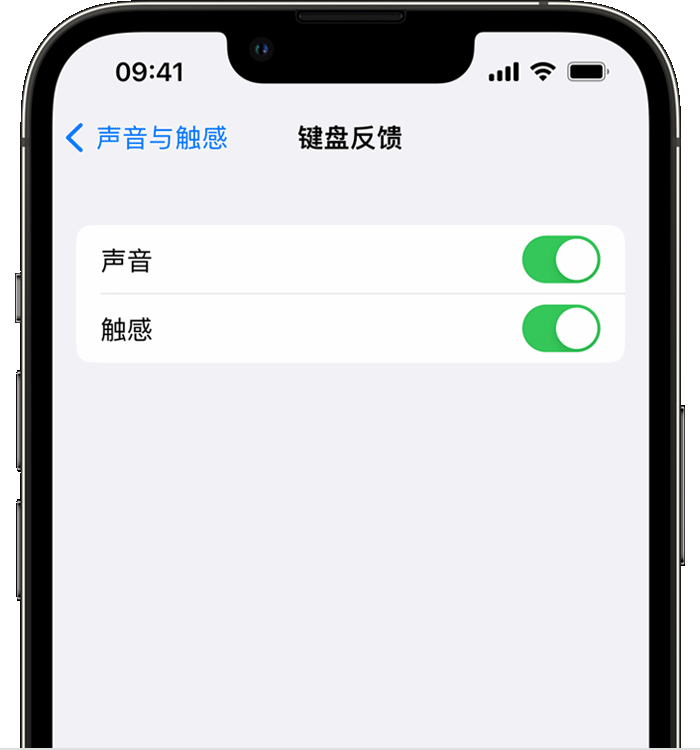 南江苹果14维修分享iPhone 14 系列机型如何开启键盘声音或触感反馈 