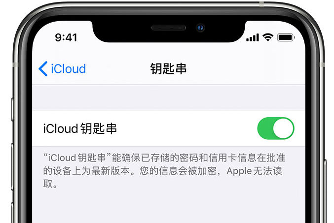 南江苹果手机维修分享在 iPhone 上开启 iCloud 钥匙串之后会储存哪些信息 