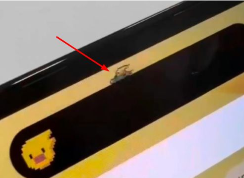 南江苹果14维修分享iPhone 14 Pro Max灵动岛怎么养宠物 