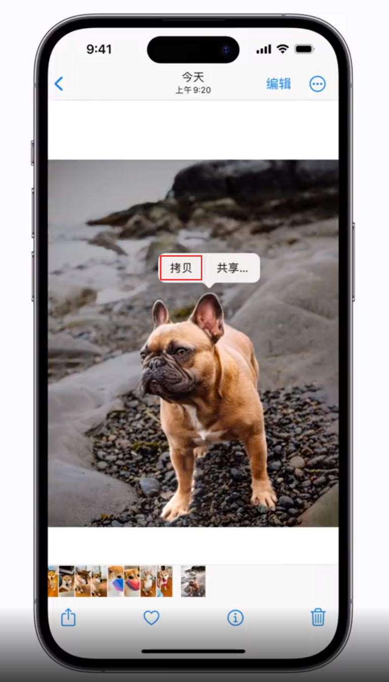 南江苹果手机维修分享 iOS 16 自带一键抠图功能 
