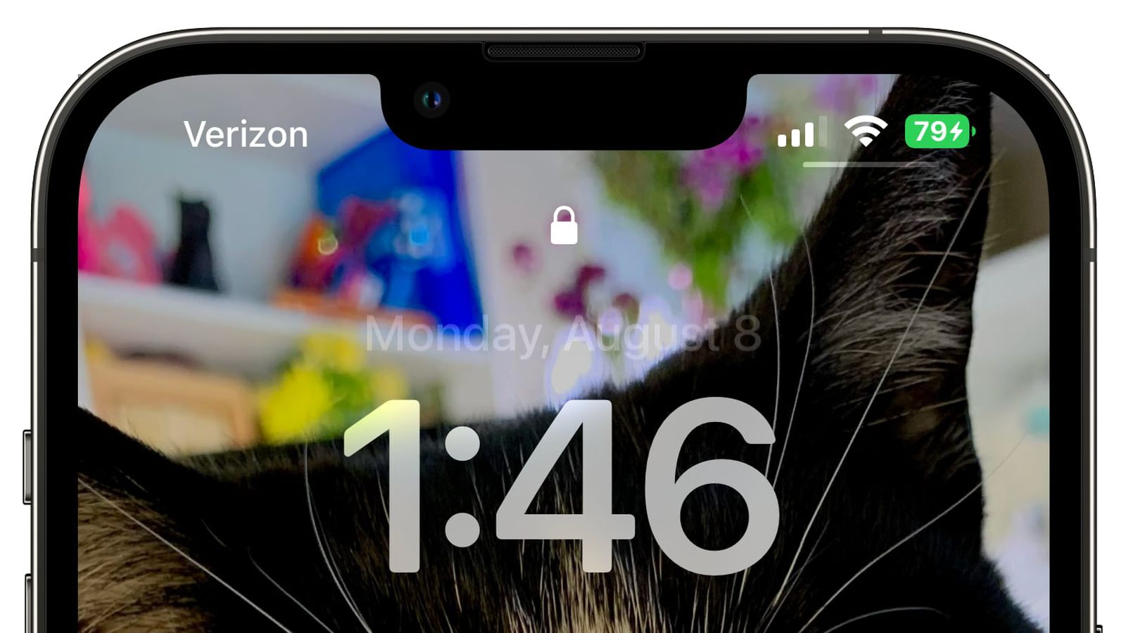 南江苹果手机维修分享iOS 16 beta 5 支持状态栏显示电池百分比，如何开启？支持哪些机型 