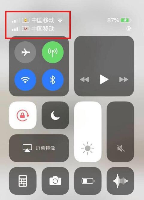 南江苹果手机维修分享为 iPhone 12 双卡设置标签 